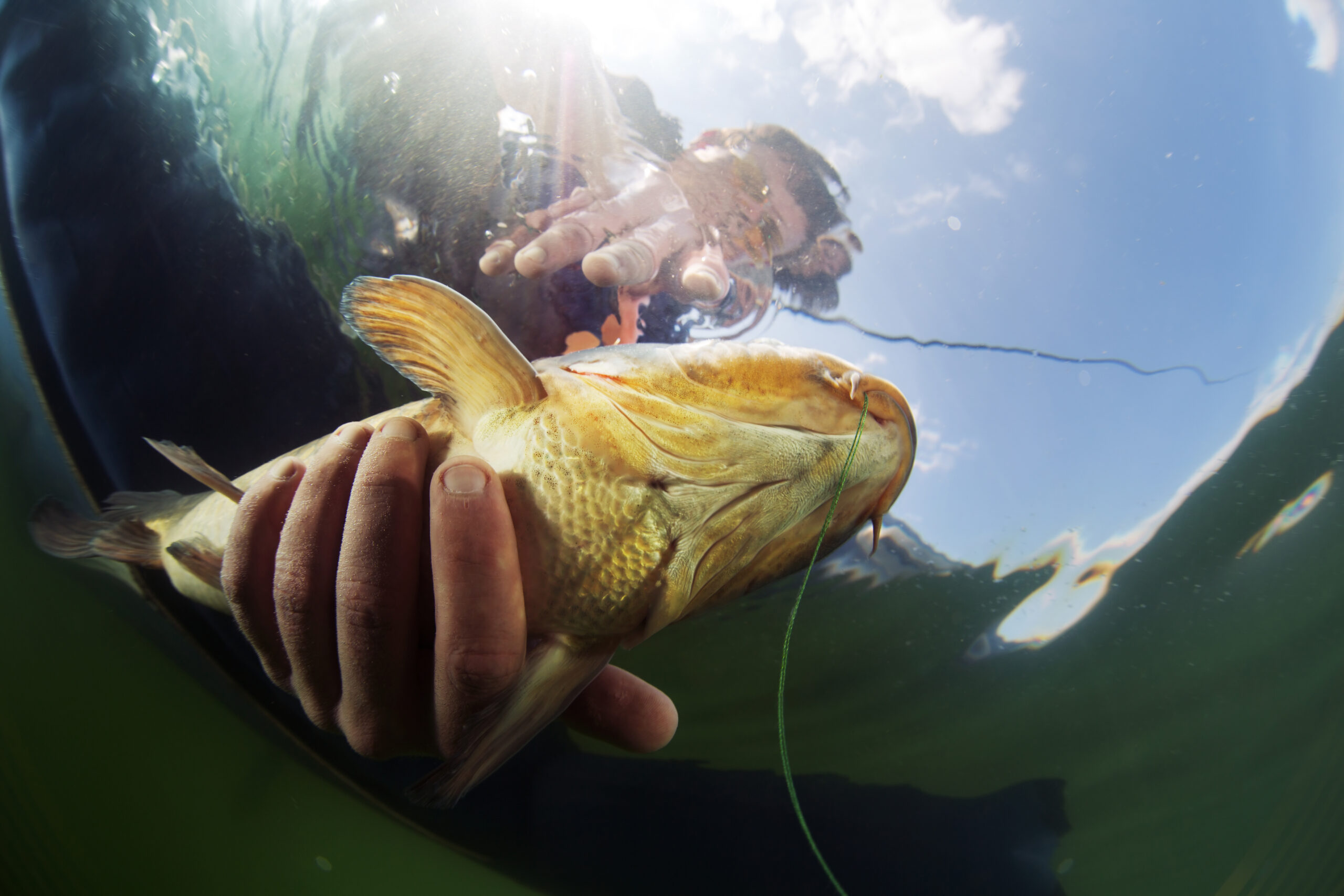 Underwater shot of the fisherman holding the fish...