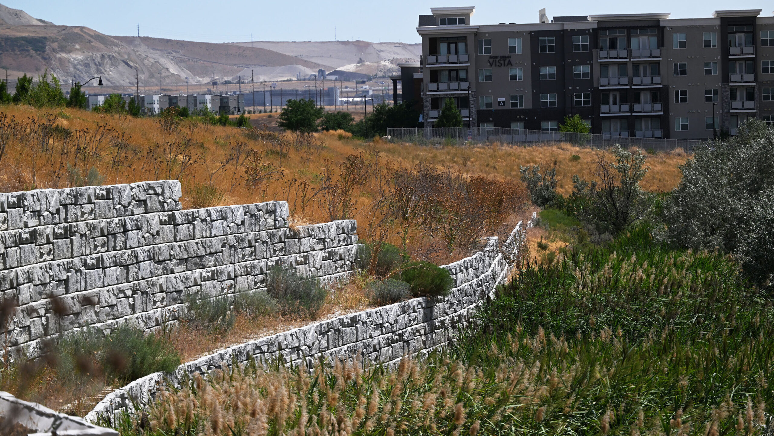 Wetlands near Vista Station Blvd (FrontRunner station area) on Tuesday, July 30, 2024. Draper City ...