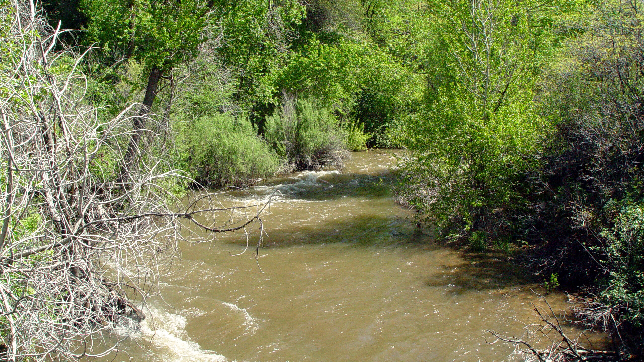 The best way to stay safe around rivers and streams at this point in time is to stay far away from ...