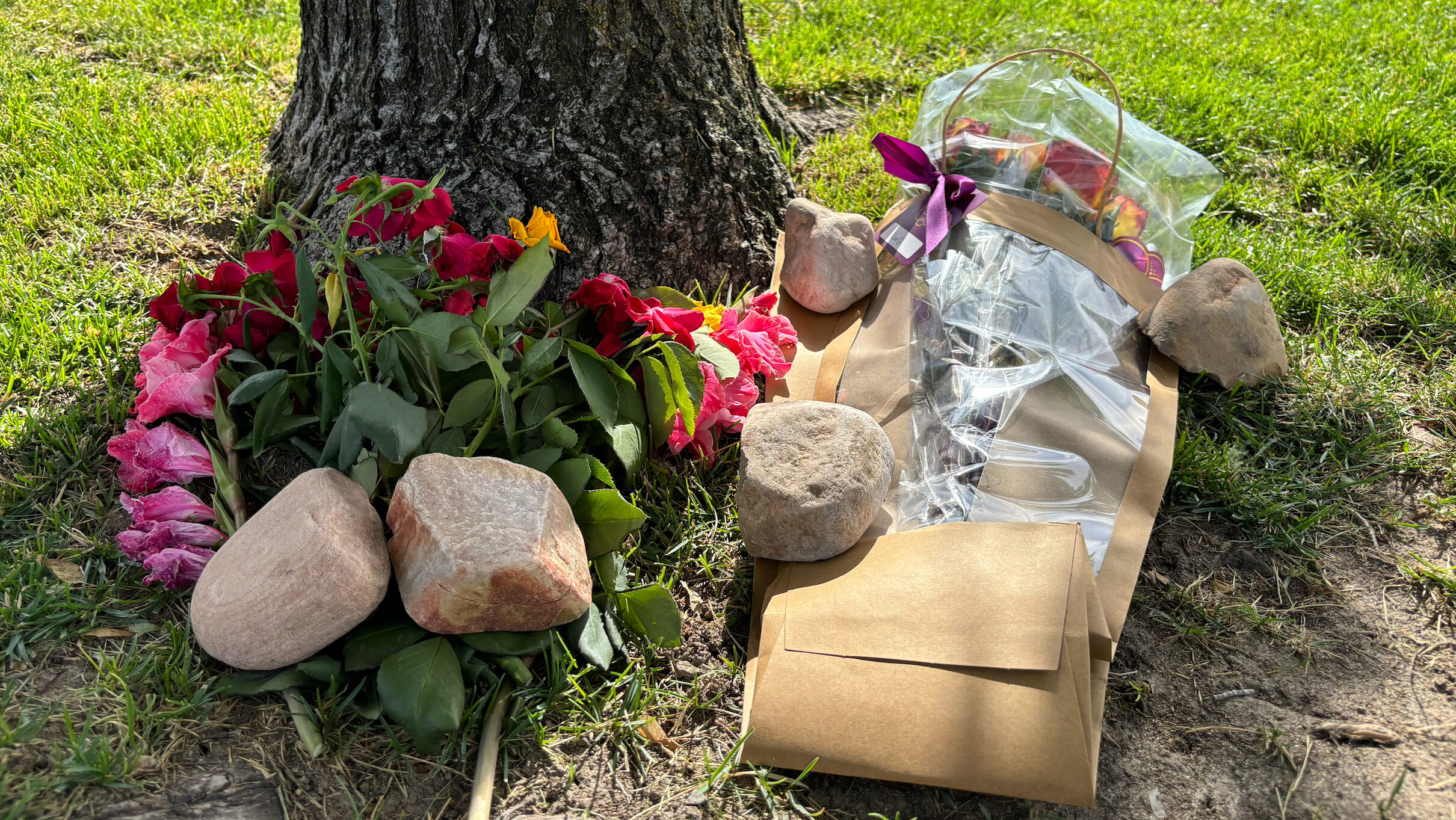 Flowers laid at the foot of a tree near the Mountain America Expo Center, where a teenager was fata...