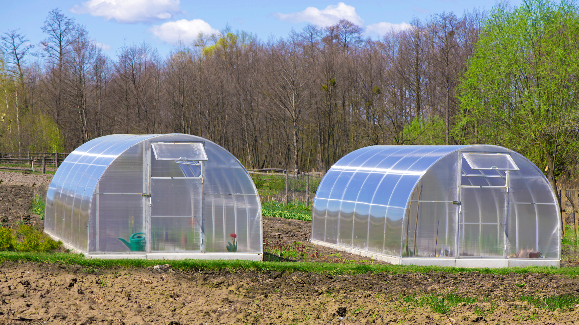 cold frames shown, they help to extend your growing season...