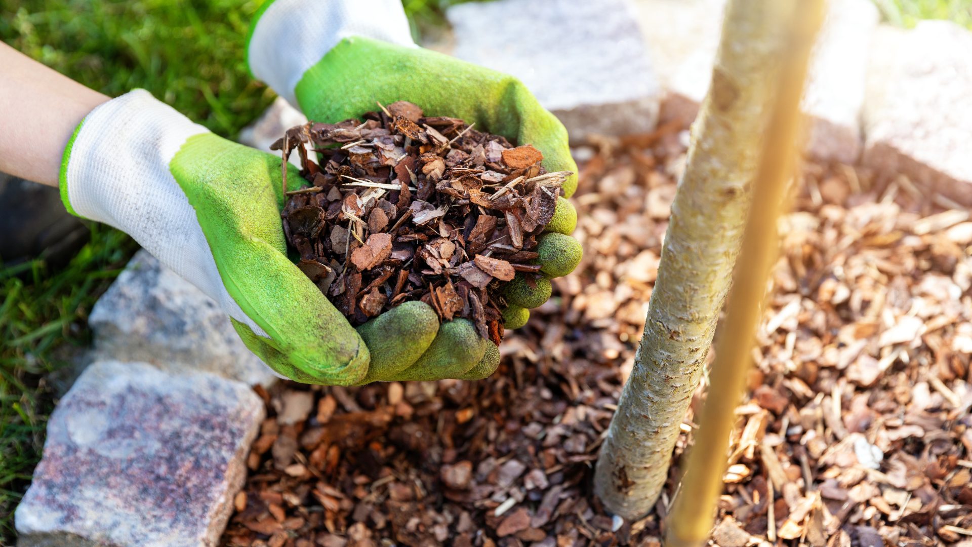 When you’re thinking about what kind of mulch to use, Taun says you have to consider the slope of...