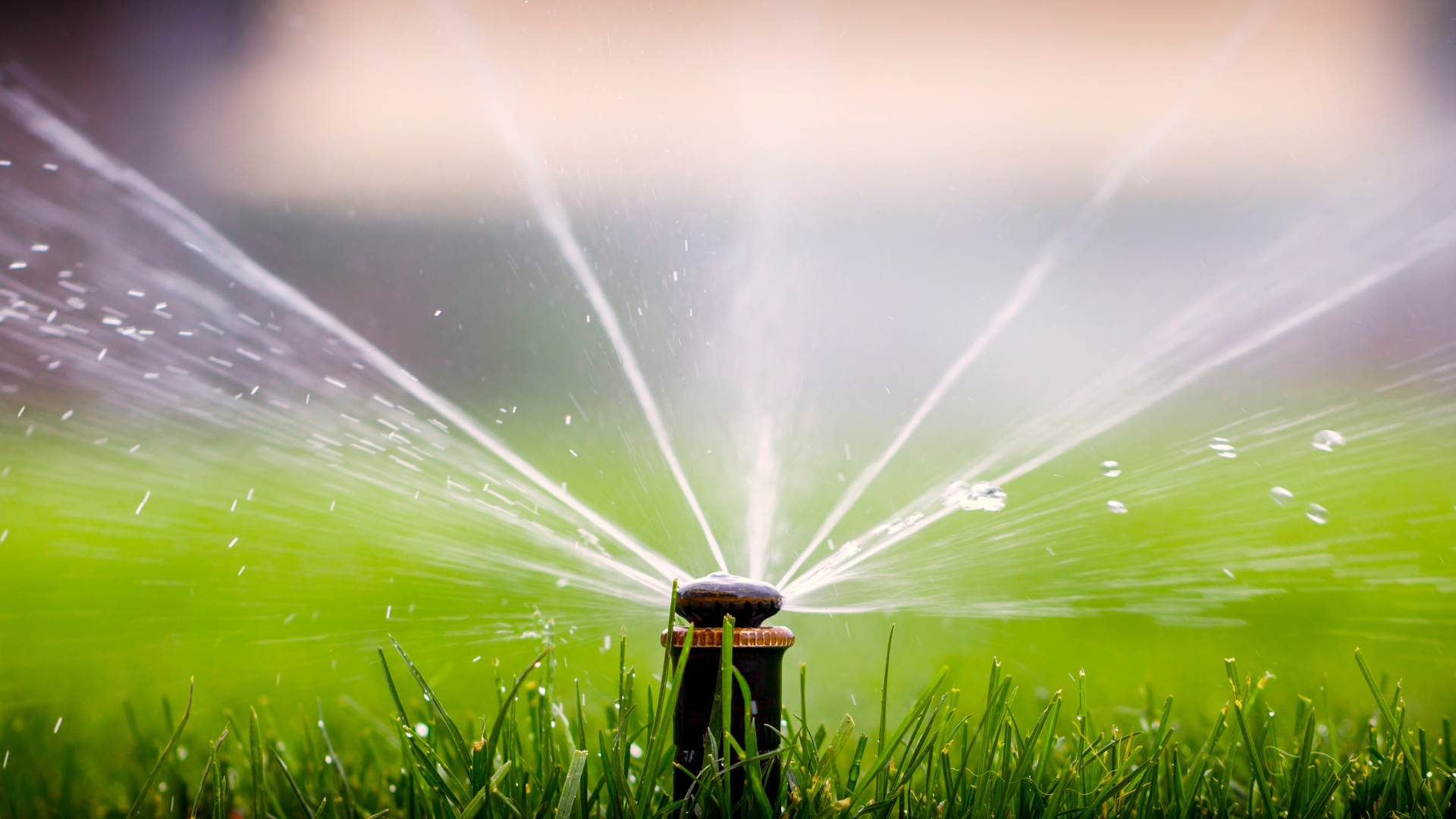 Multi-directional sprinkler system (canva)...