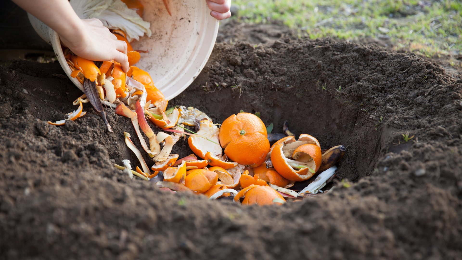 When asked if he has a compost bin himself, Taun said he instead uses a technique called slow compo...